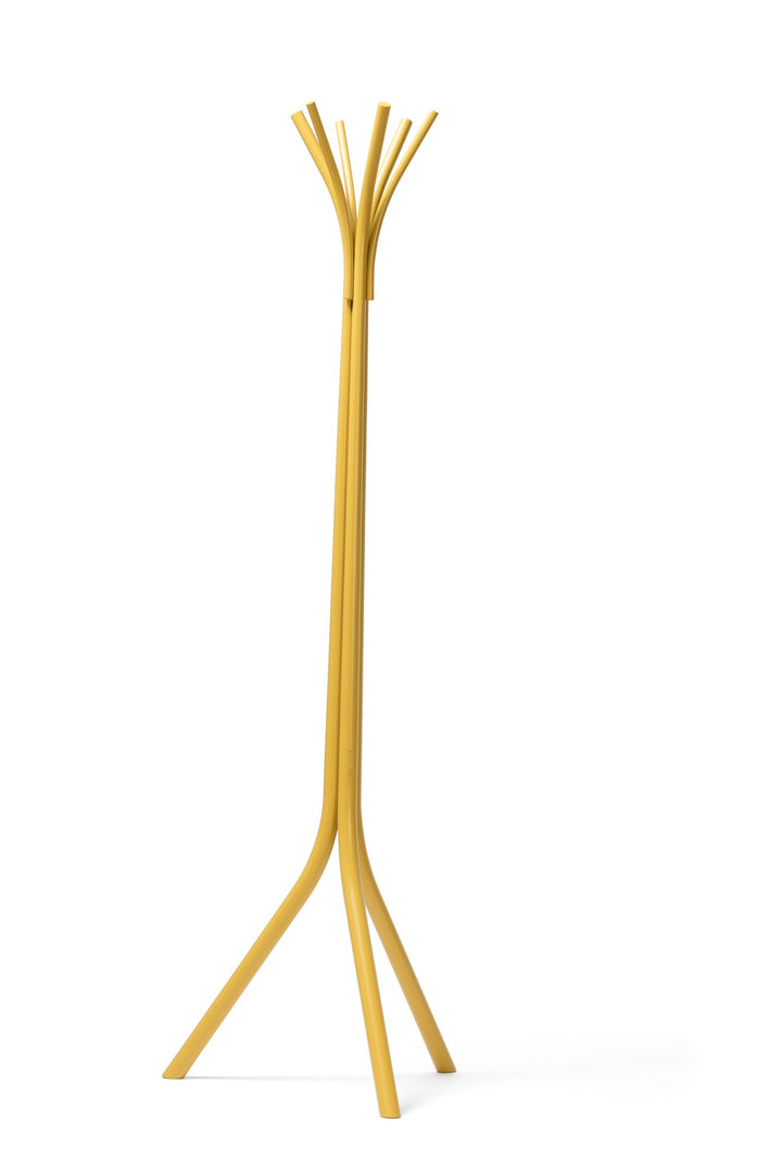 Cuier lemn, Fleur